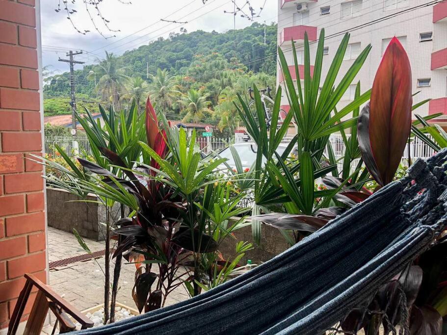 Apartamento A 230 Mts Da Praia Em Ubatuba Exterior photo